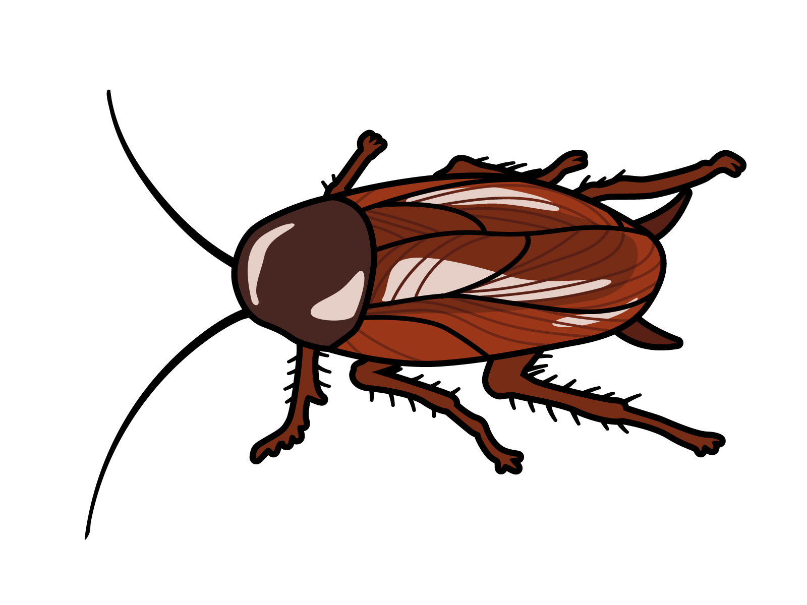 エアコンはゴキブリの出入り口？ダスキンサービスマスターモアー店