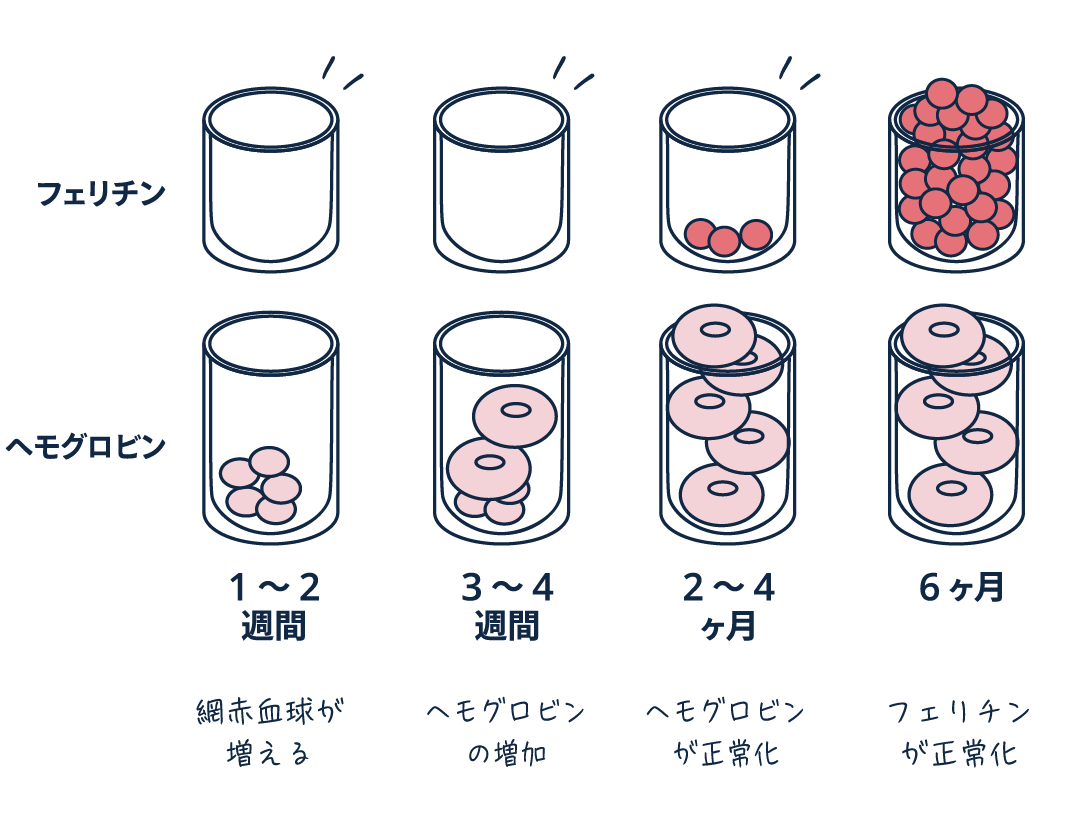 健康工房和み人 高浜 刈谷 碧南 西尾 知立 名古屋 漢方 ダイエットこんにちは！ 和み人です！😁 今回は、 身を守ってくれる 白血球の働きについてお話していきます！ 私たちの体を守る 「白血球」は、 まるで体の自衛隊！😄 白血球も赤血球も血小板も 生まれる場所は