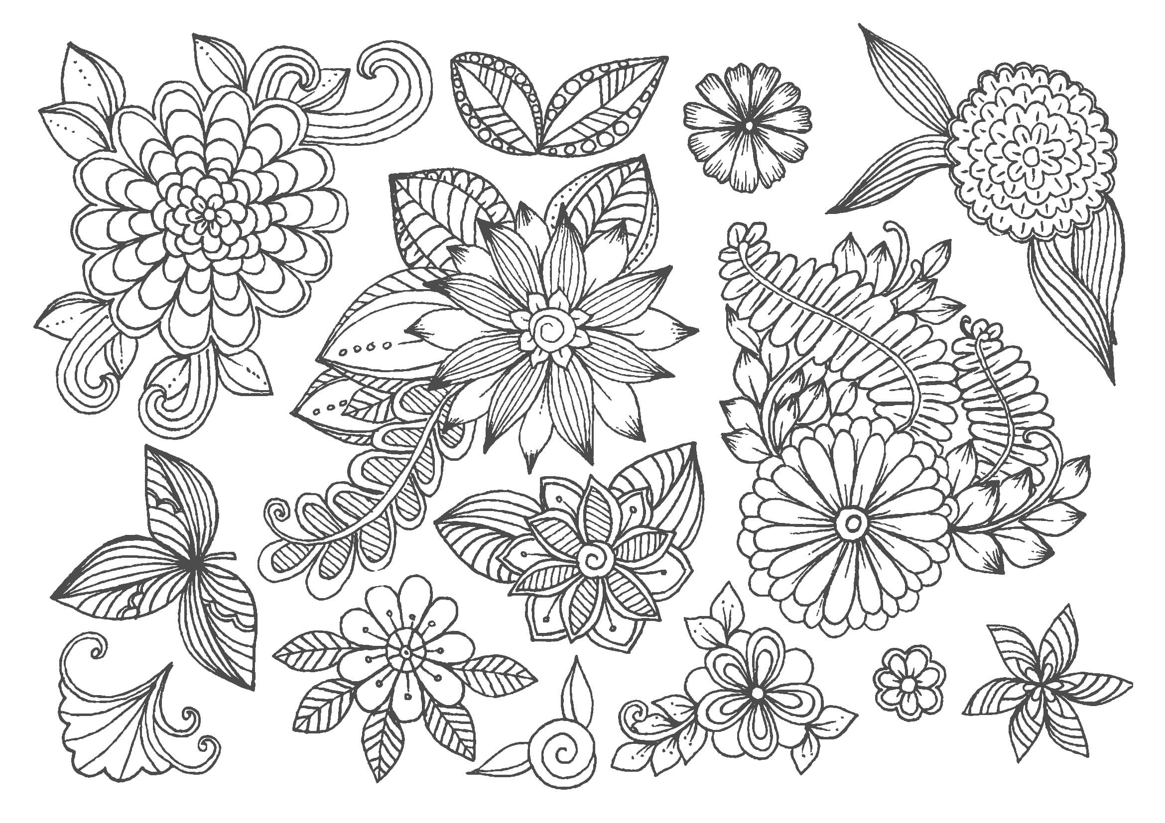 塗り絵無料 春夏秋冬の食べもの・植物塗り絵無料プリント高齢者用脳トレ・塗り絵無料ドングリマツリ認知症予防クイズ・レク