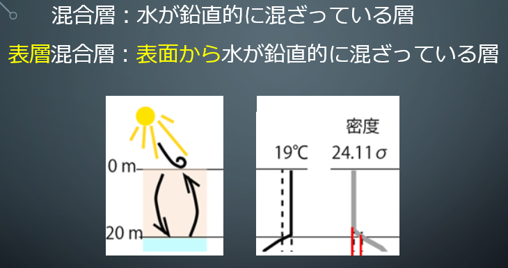 コース: 3-3. 表層混合層 海洋基礎生産で大事な理由を解説LASBOS Moodle