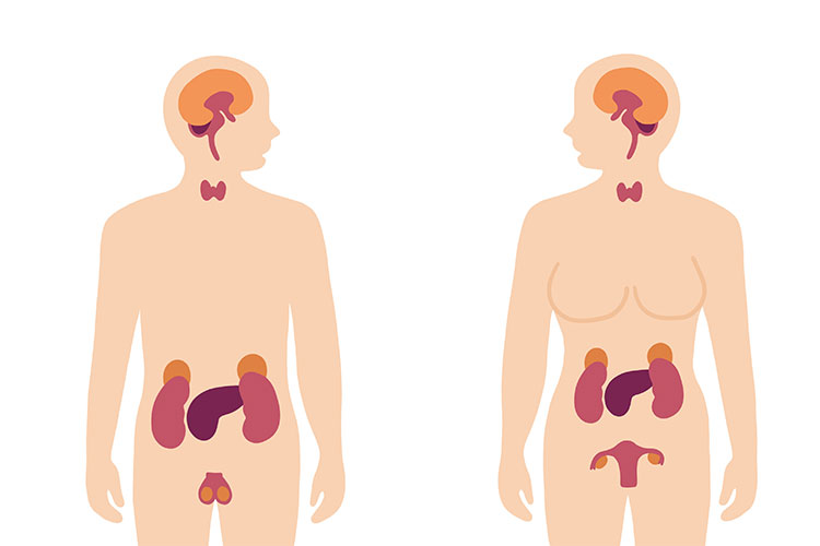 歯だけではない？口腔内における粘膜の変化、色素沈着の原因とは新橋歯科医科診療所 痛くない削らない歯医者