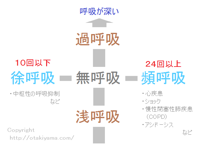 徳島大学呼吸器・膠原病内科学分野:気管支喘息、アレルギー疾患
