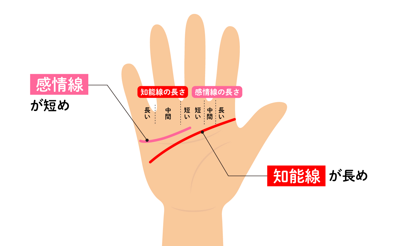 手相占い・感情線の意味や見方って？感情線が枝分かれしている場合や二本ある時、鎖状 チェーン な時はどんな意味か徹底紹介micane無料占い