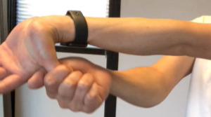 Visual Anatomy 視覚解剖学