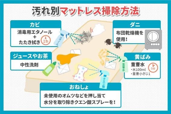 猫ちゃん・わんちゃんのおしっこの臭いとり・黄ばみ取り専用布団クリーニング リフレッシュ出雲