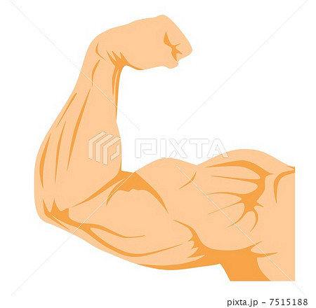 肩の動きをイラストで描くなら、関節について知っておこう