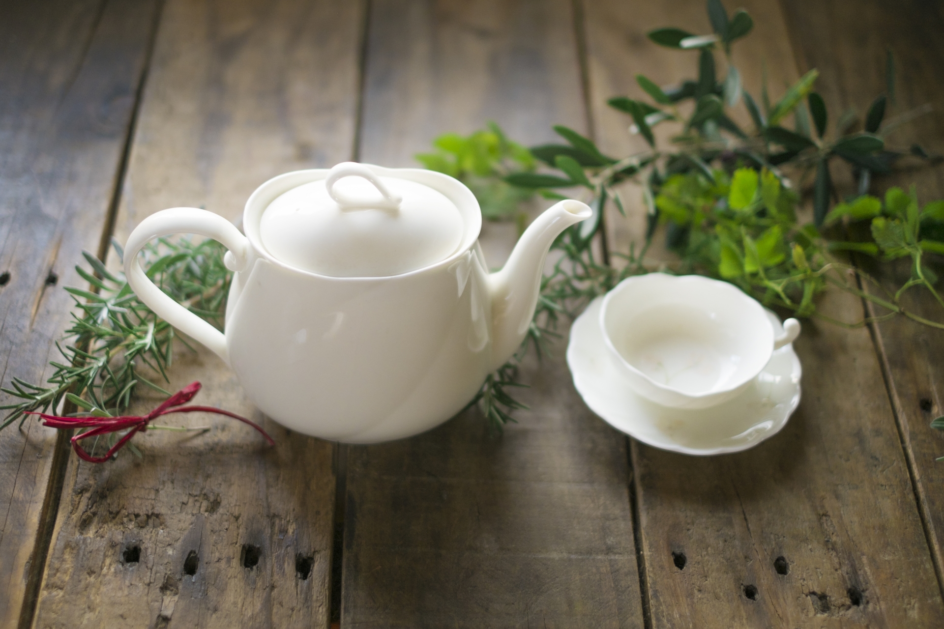 ローズマリーを食べる際の基本知識と料理への活用方法 - PLANT LOUNGE ～ 観葉植物の部屋