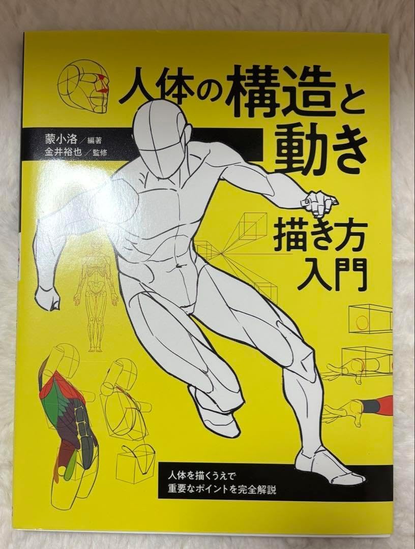 人体構造イラスト画像とPSDフリー素材透過の無料ダウンロード - Pngtree