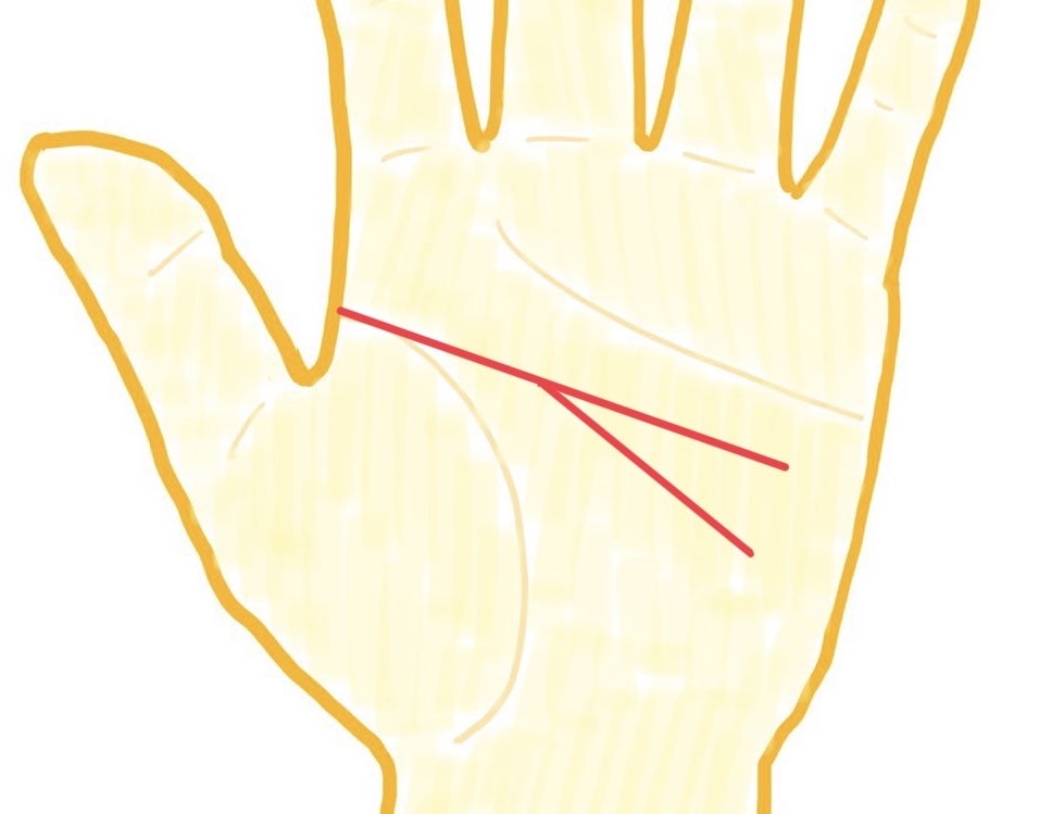 知能線の枝分かれがある人ー？🙋‍♀️ ⁡ ⁡ ⁡ 枝分かれがある人は ・好奇心旺盛 ・変化に強い ・器用 ・多芸多才 ⁡ そんな意味があります🤲⁡ ⁡ ⁡ ⁡ それぞれの線をざっくりみてみると ⁡ 横に伸びる →現実的 ⁡ 下 手首 に向かう →理想重視 ⁡ ⁡ ⁡ 一見矛盾するようです