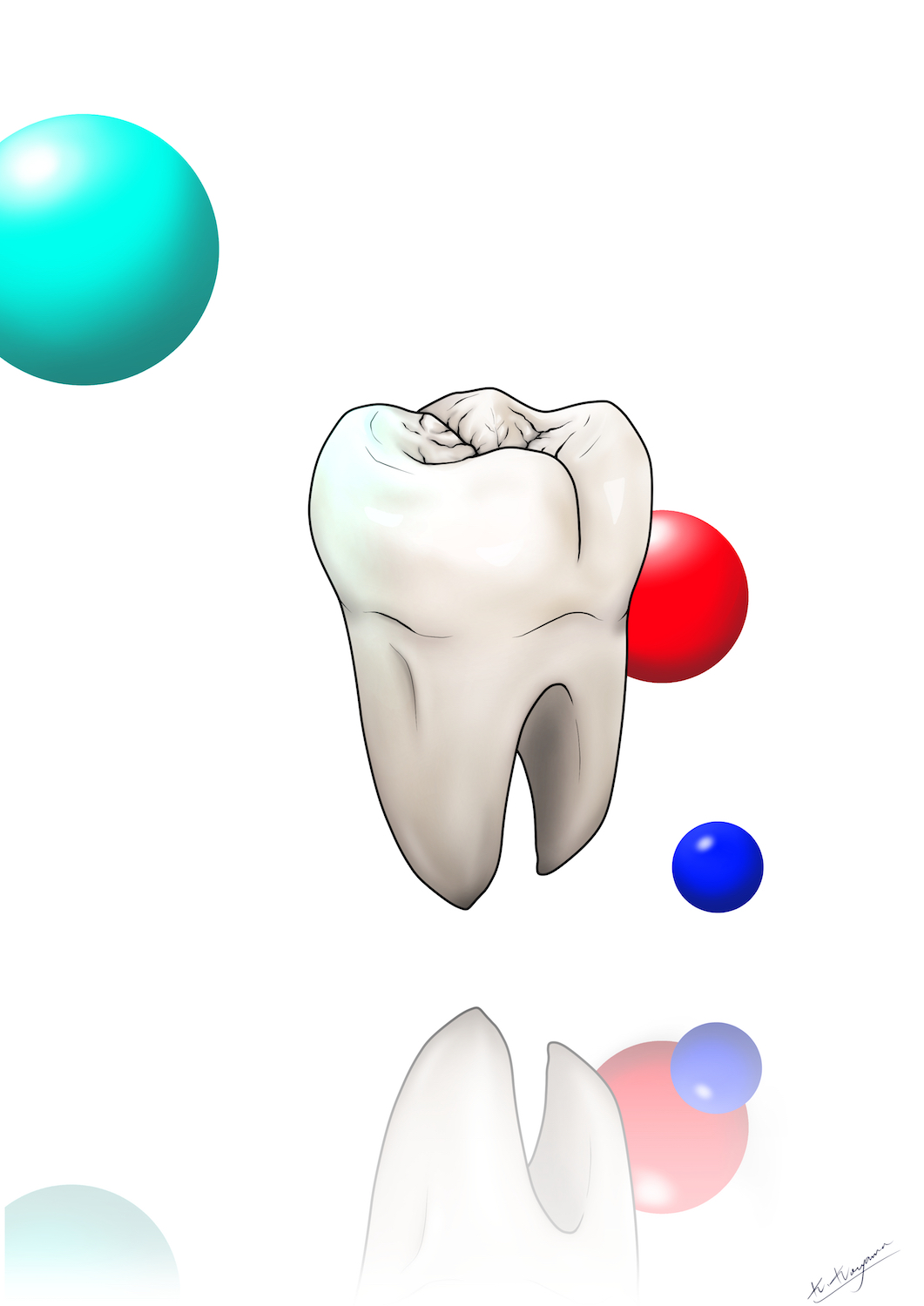 歯・奥歯イラスト素材01イラスト無料・かわいいテンプレート