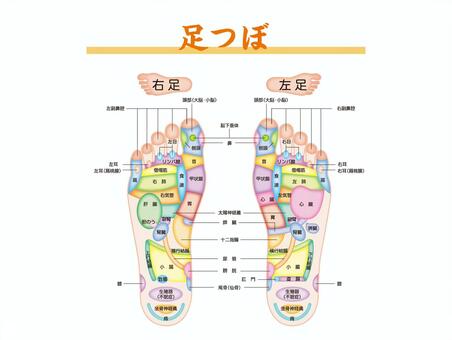 足つぼマット 足ツボマット 足つぼ 足ツボ 図解 ツボ押しグッズ 足裏 ツボ 図 グッズ 足の裏 ツボ押し マッサージ : M-MODE エムモード- 通販 - Yahoo!ショッピング