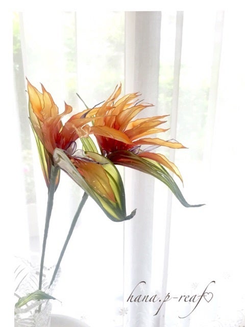 光触媒 人工観葉植物 オーガスタ フェイクグリーン ストレッチア155aj