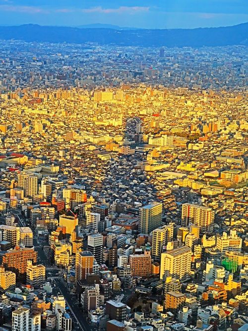 あべのハルカス全面開業日本一の高さ300ｍ