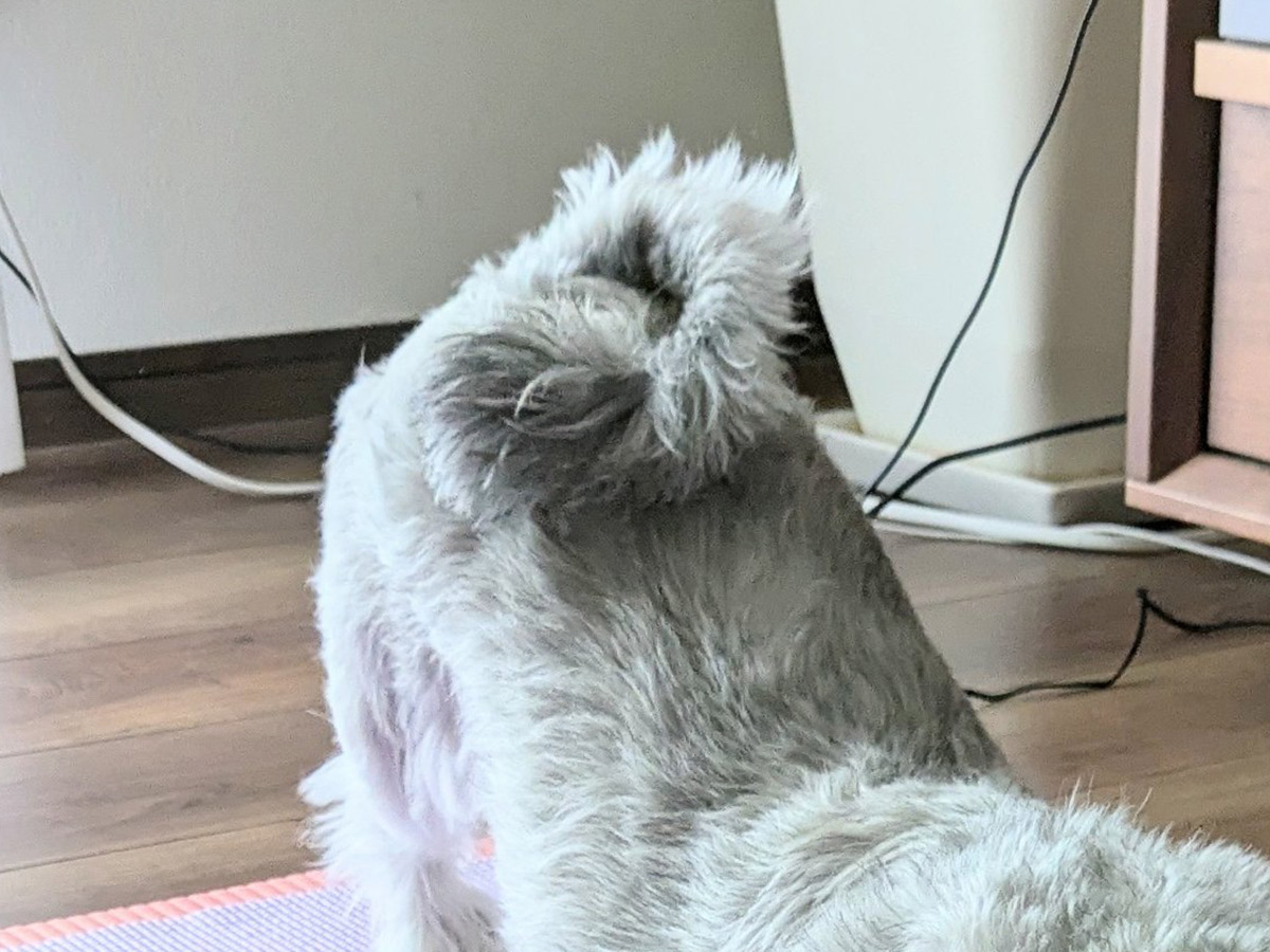 ヨガタオル ホットヨガ 滑り止め 収納ケース付き ヨガラグ ストレッチマット 洗える すべりどめ ヨガマット 送料無料