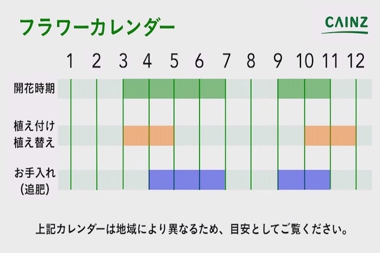 キンギョソウの育て方 完全ガイド初心者でも豪華に咲かせるコツGardenStoryガーデンストーリー