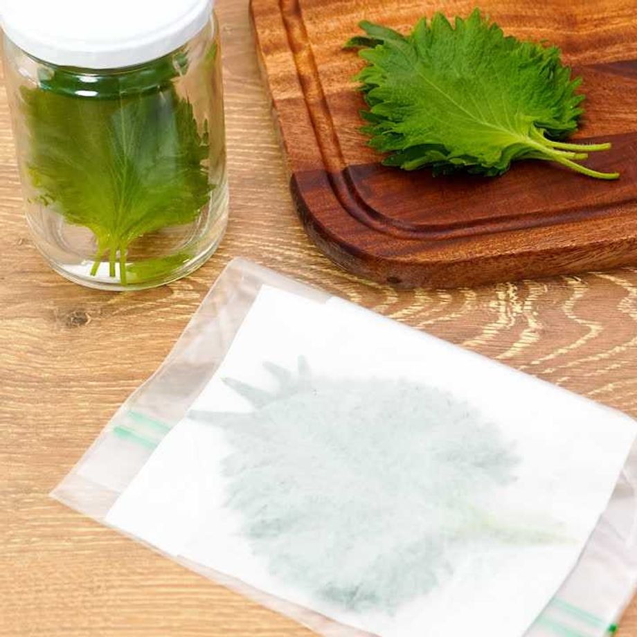 大葉を長持ちさせる保存方法のコツ！冷蔵・冷凍・乾燥までふるなび公式ブログ ふるさと納税DISCOVERY