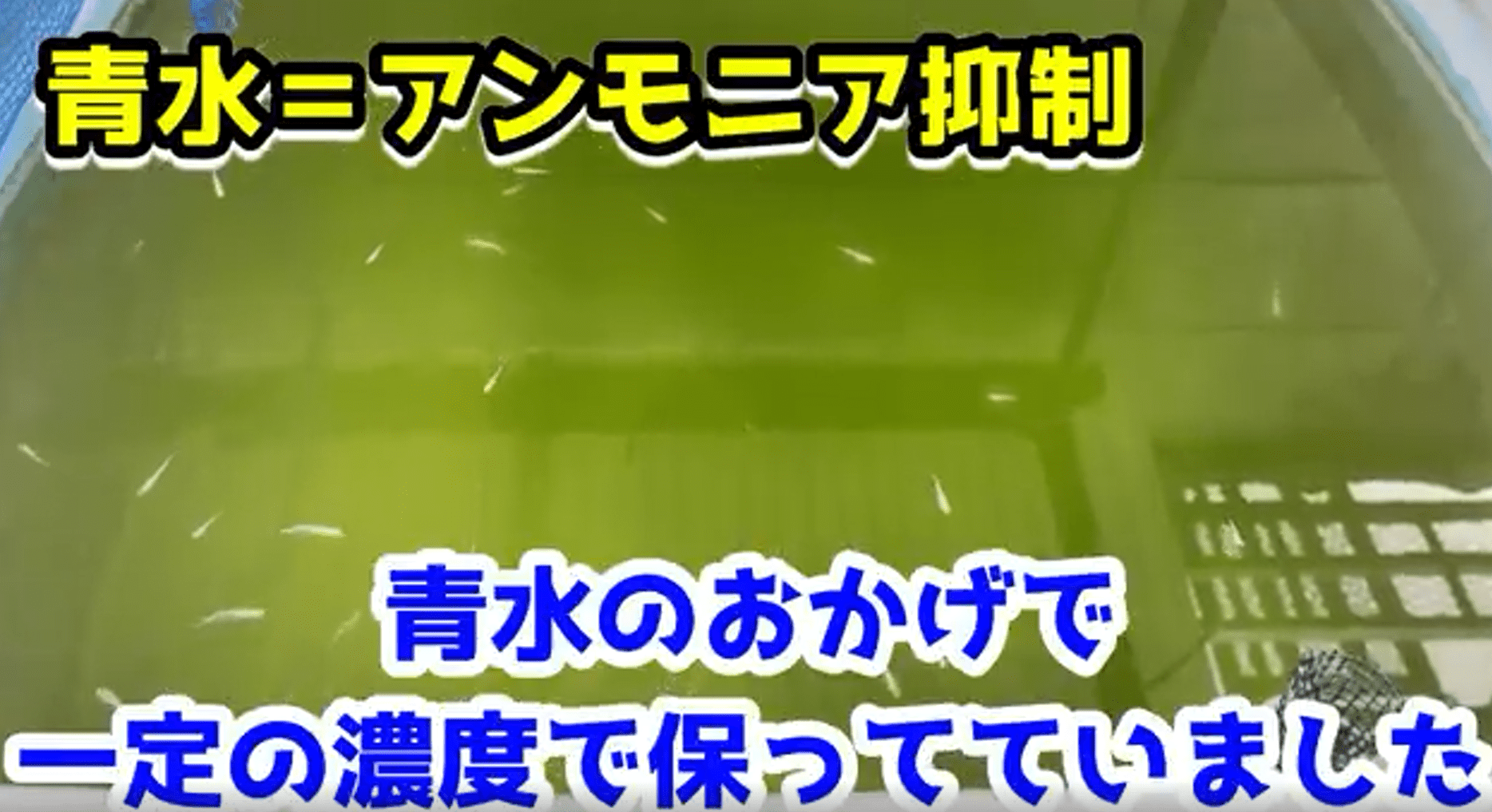 サウジアラビアのブルーアンモニアへの投資が、世界のクリーンエネルギーへの移行にどのように役立っているかARAB NEWS