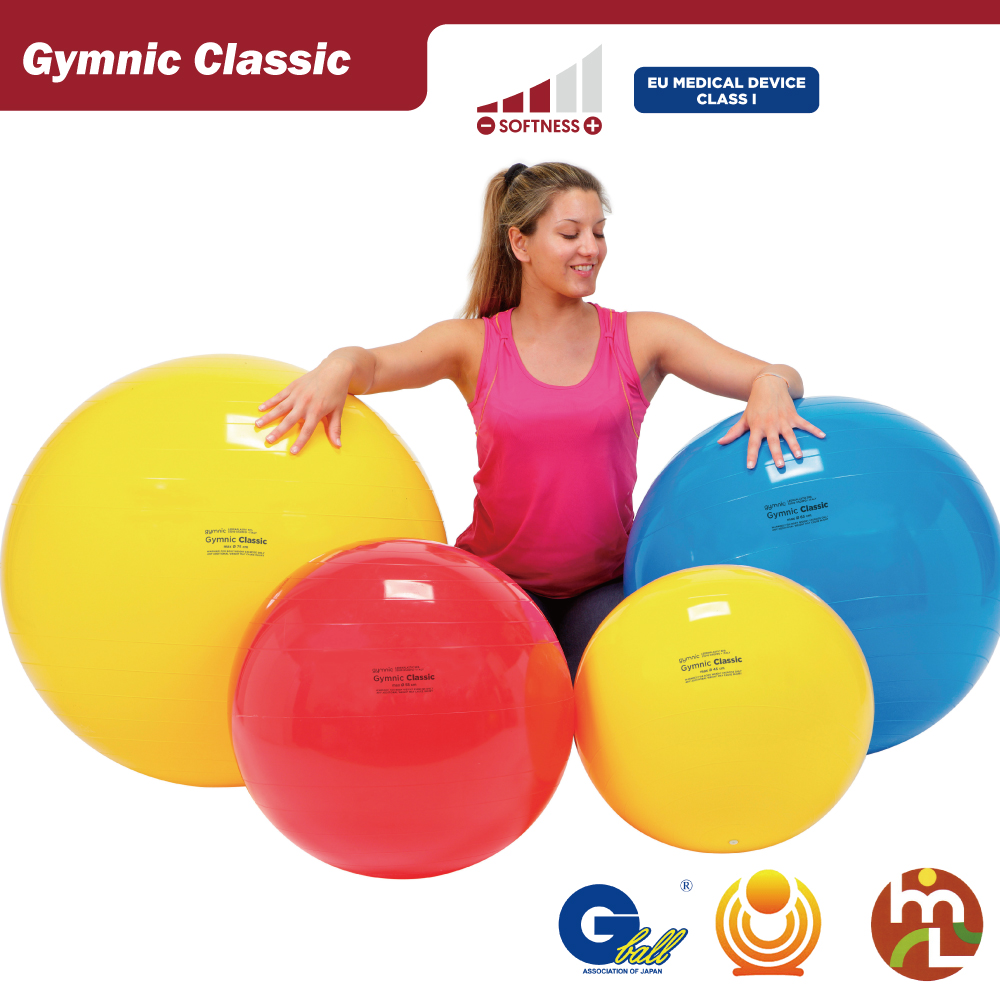 エクササイズボールバランスボールのご案内株式会社 サンワード ネット事業部