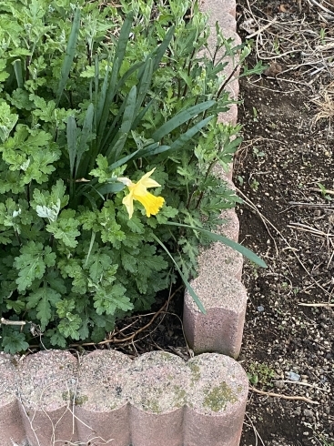 女性 安心の写真素材写真素材なら「写真AC」無料 フリー ダウンロードOK