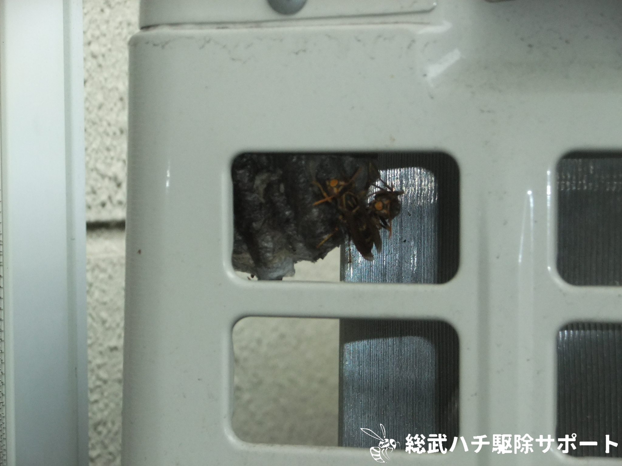 四街道でエアコンの配管にできたアシナガバチの巣を駆除