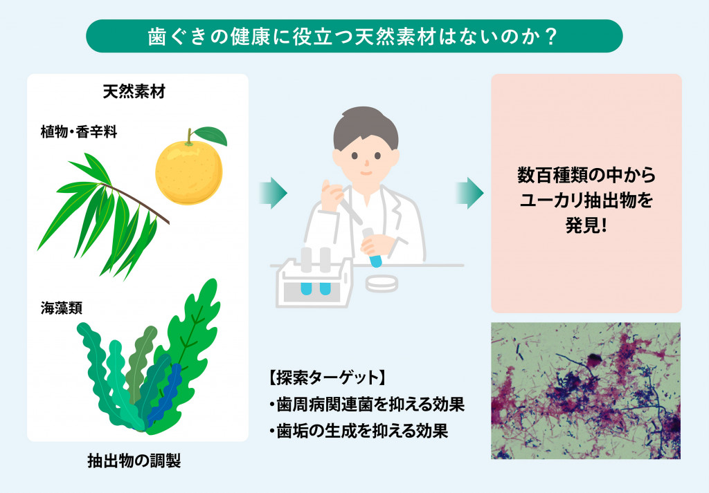 ユーカリプタススプレー 自然天然の除菌消臭オーブス株式会社