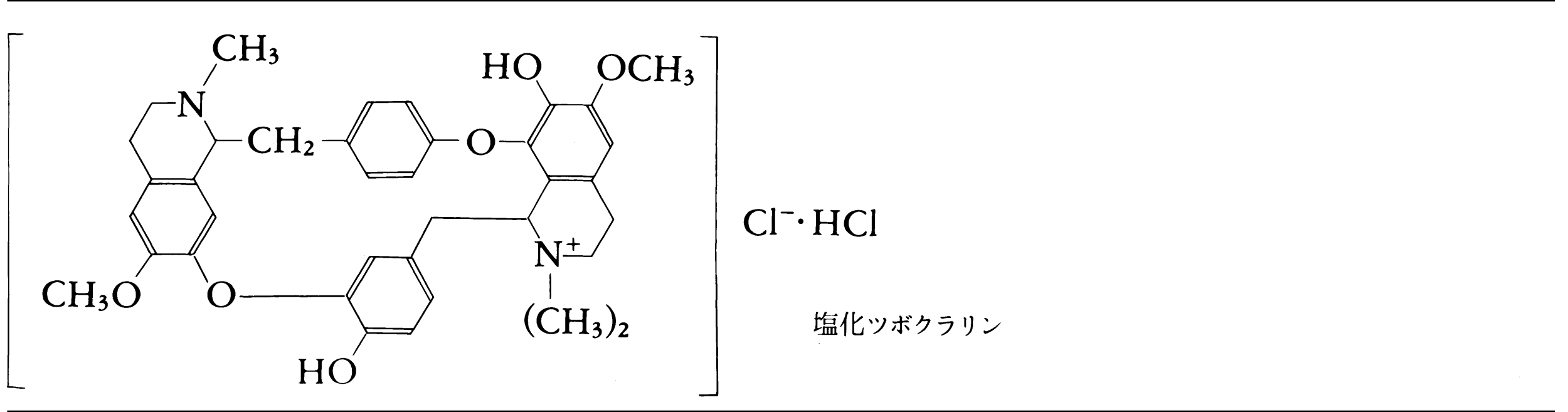 なおきち＠月夜の獣医師 on X: 