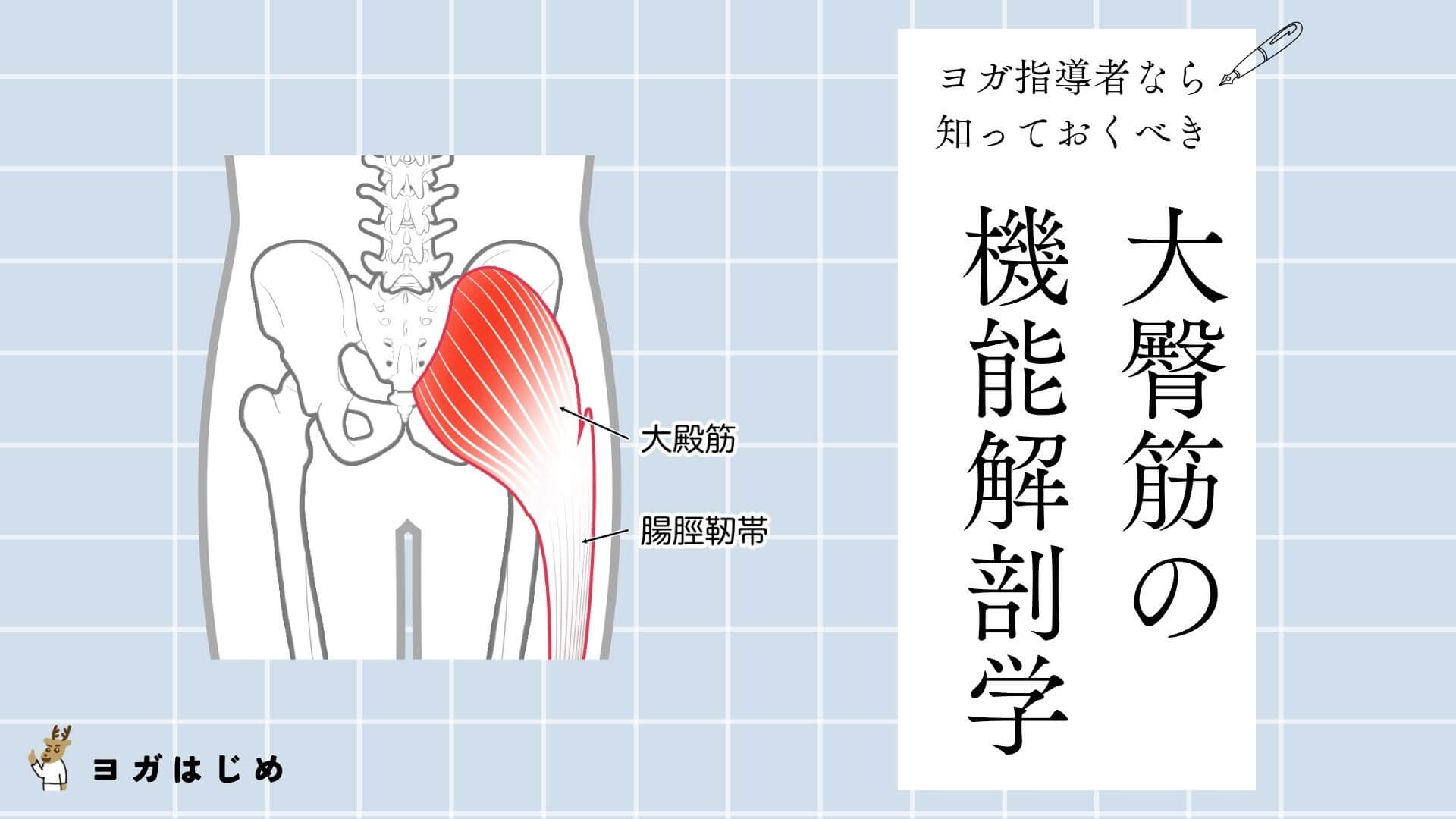 中臀筋・小臀筋 片脚支持・骨盤安定のキーマッスル！T'sピラティス