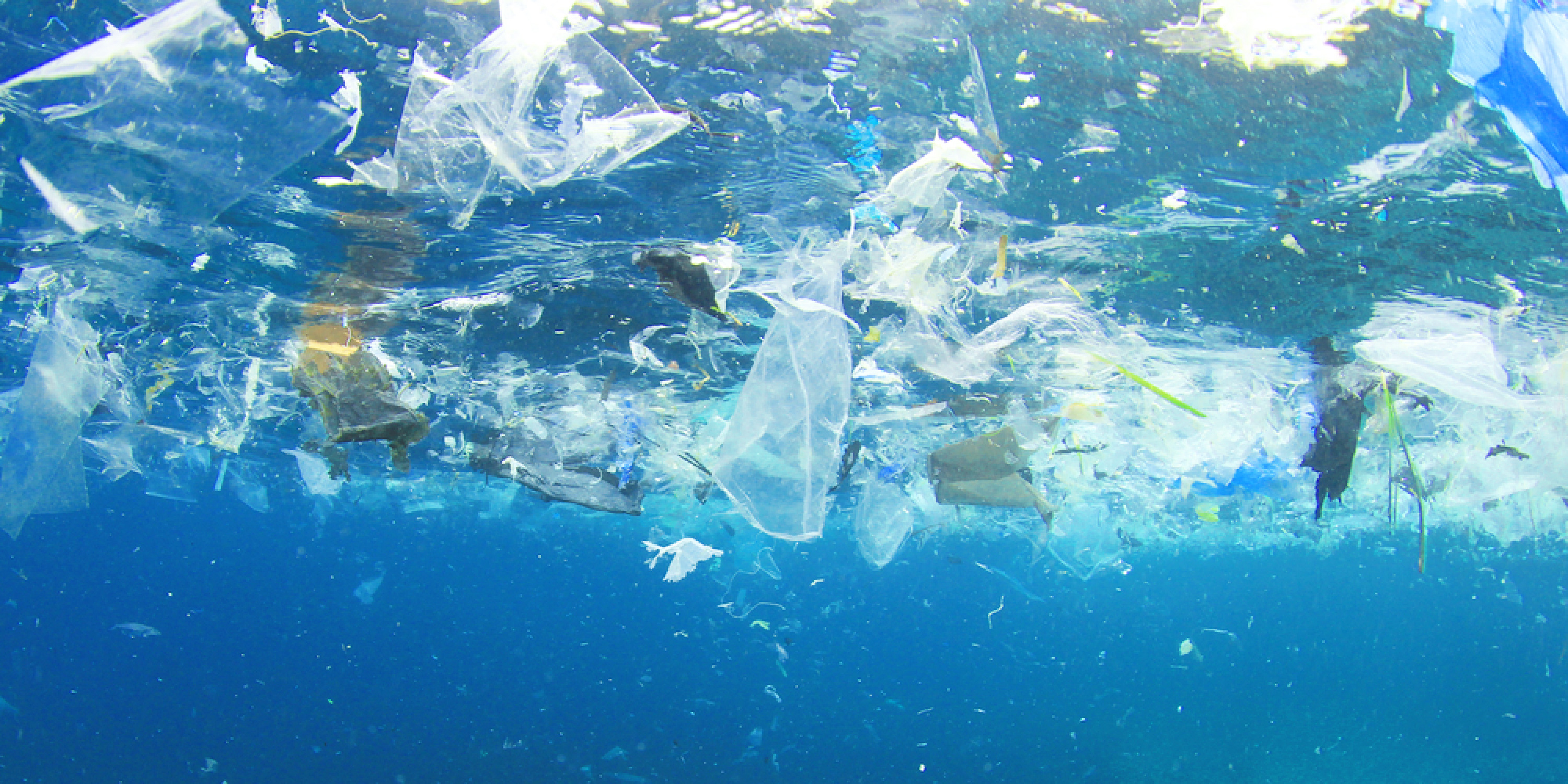 可燃ゴミ編 意外と見落とす!? 基本のマナーその他住み人オンライン