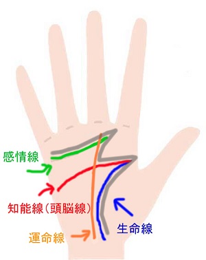 金運抜群の最強手相8選。お金に好かれる手相とは？手相占い 「マイナビウーマン」