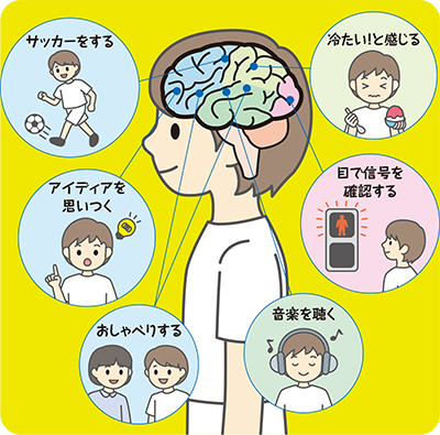 第165回 眠りが浅いと脳はゴミ屋敷に!?根来秀行教授 眠っている間に脳のゴミを洗い流す「脳脊髄液」とは