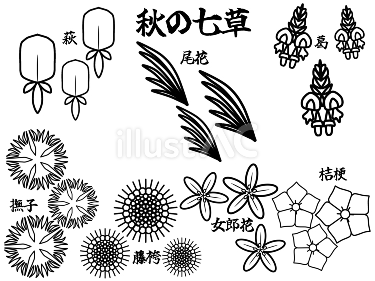 無料の秋の果物や野菜のぬりえぬりえパーク