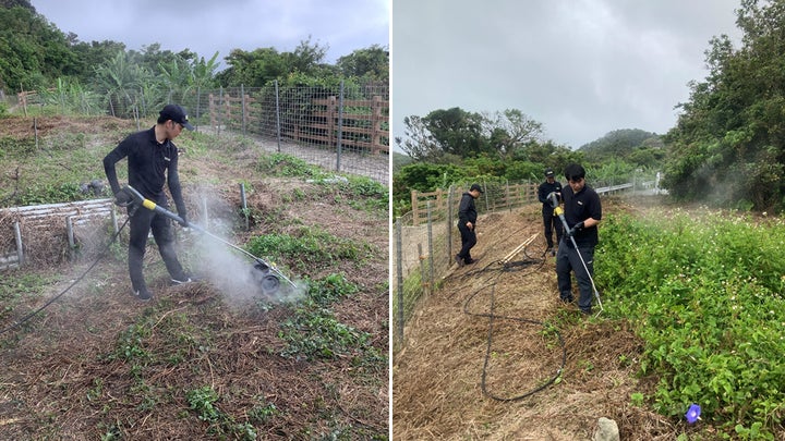 雑草に熱湯をかけて除草する時のコツと注意点！その他の雑草対策も紹介剪定・伐採・草刈りなど庭手入れ専門造園業者植木屋smileガーデン
