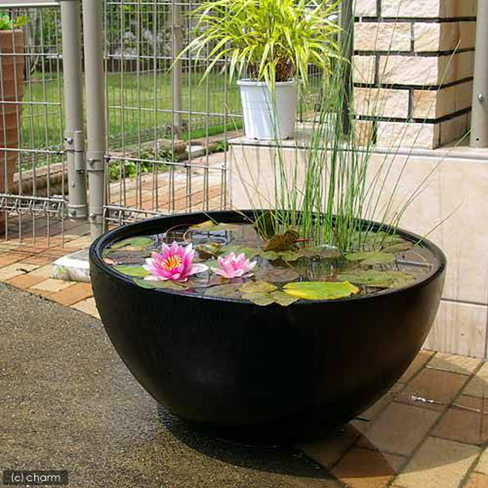 起きたら熱が出てた 体温計 の無料の写真素材 - ID.18814フリー素材 ぱくたそ