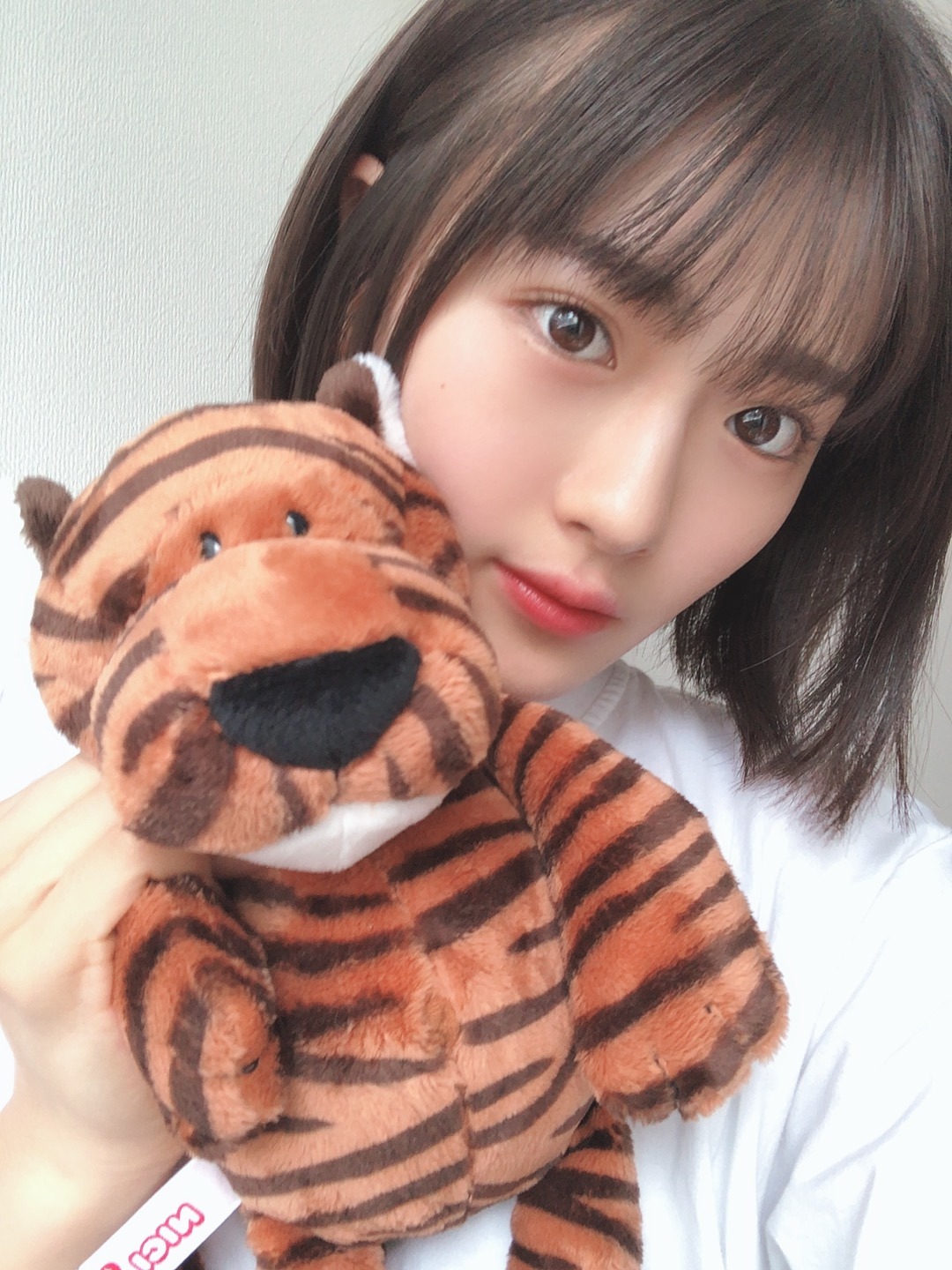 １８歳の地図１ 大人になるって 乃木坂４６、清宮レイさん「愛情与える立場」 作家、鈴木るりかさん「完璧になれない」 - 産経ニュース