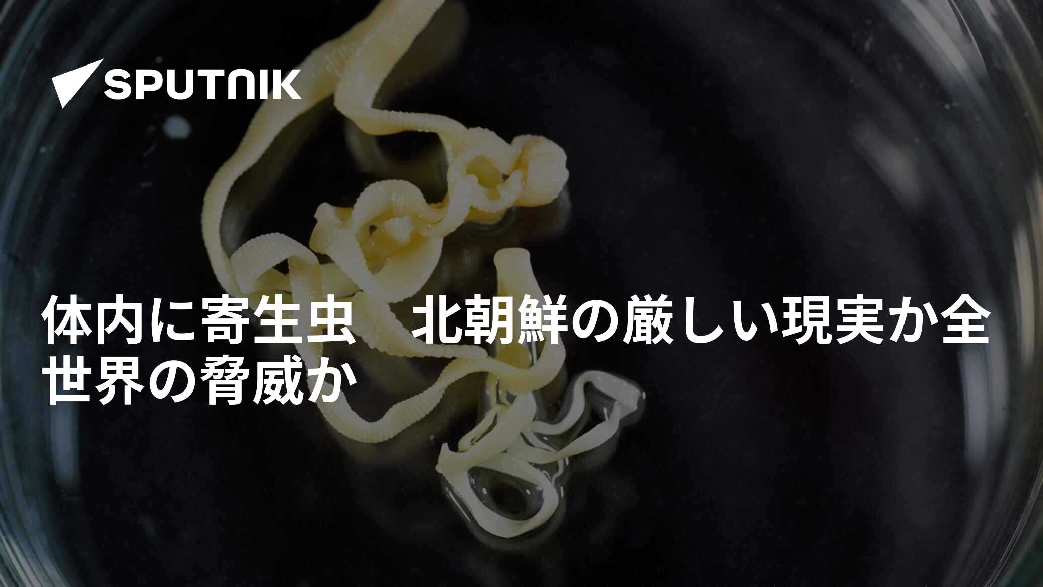 寄生虫写真！ - はたかおりと羽太雄平、なな、むっくのおうち ２