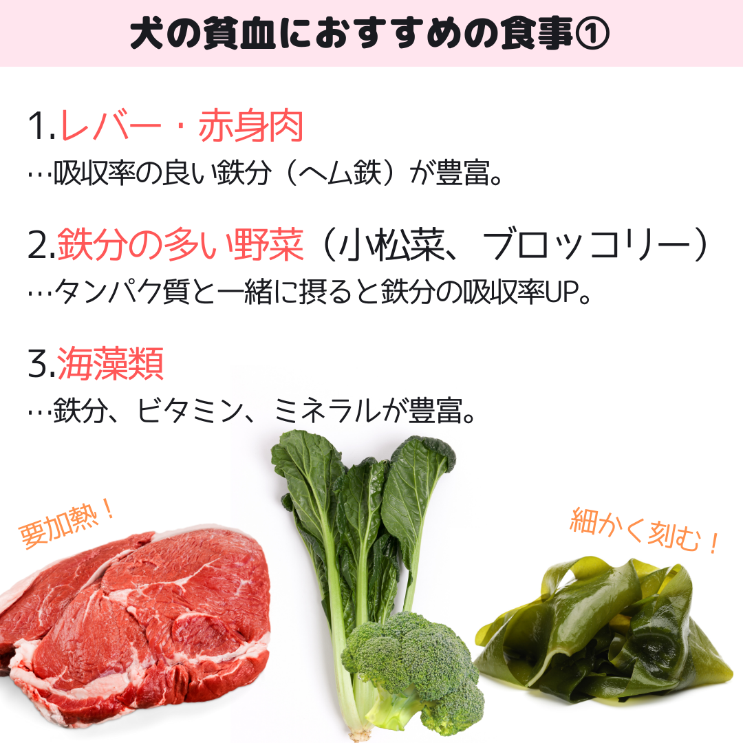 貧血の原因は？～鉄分不足を改善しよう!～健康情報全薬グループ