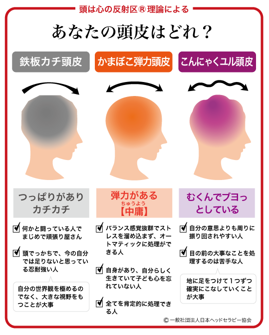 アイヘッドセラピー解説ナレーション付き施術講習動画DVD アイヘッドセラピー 解説付き DVD