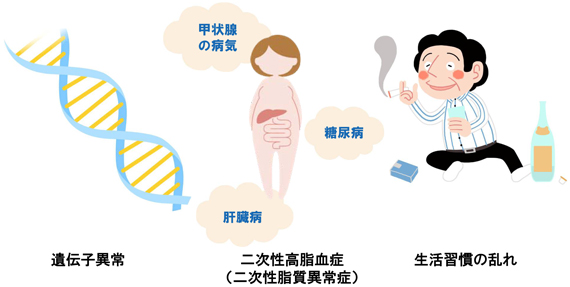 脂質異常症三島市医師会