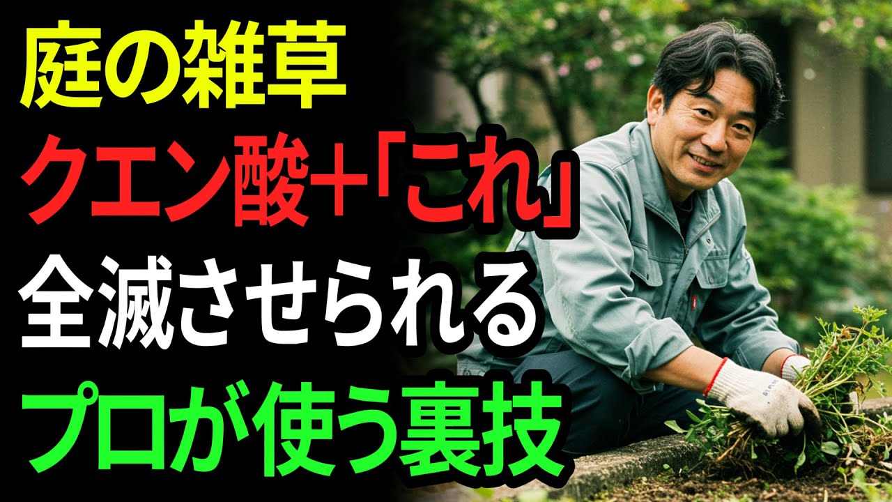 ミスター農の実験タイム！クエン酸が雑草に効くって本当？家庭でできる除草実験！ リメイク part1 - YouTube