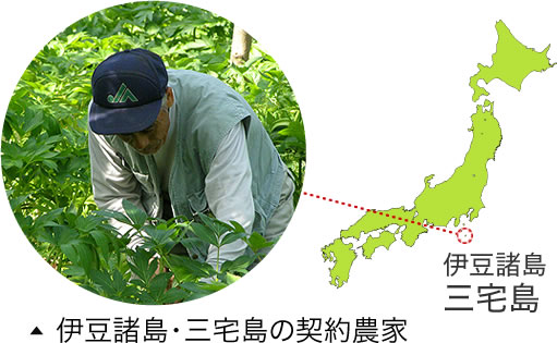 日本酵素薬品株式会社