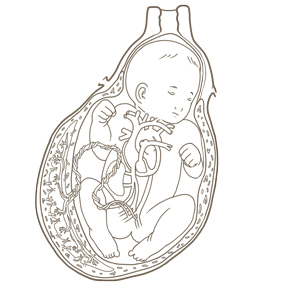 高校生物基礎 「血液の循環」映像授業のTry ITトライイット