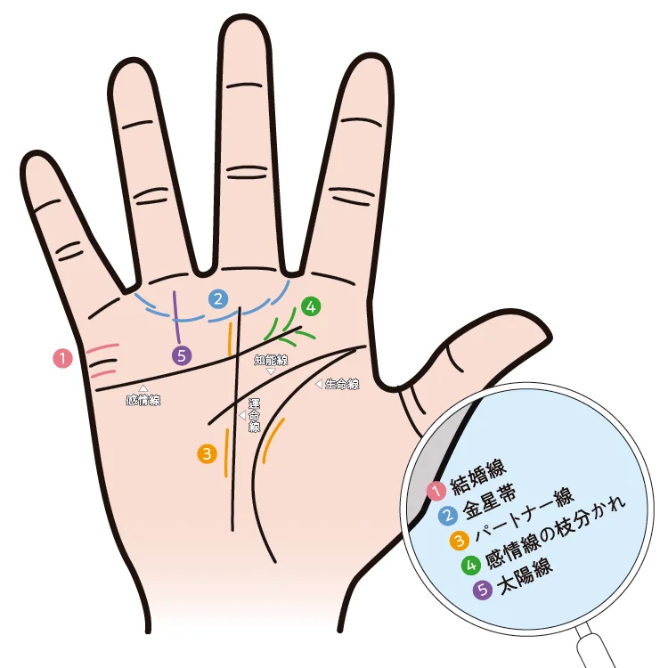 手相に詳しい方お願いします。右手の人差し指と中指の付け根の下辺りに、ダイヤ- Yahoo!知恵袋