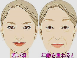 老け顔は鼻にあり 加齢とともに大きくなる鼻、7割が対策せず 自覚しづらい“鼻の肥大化”の原因と防ぐための生活術1 2女性セブンプラス