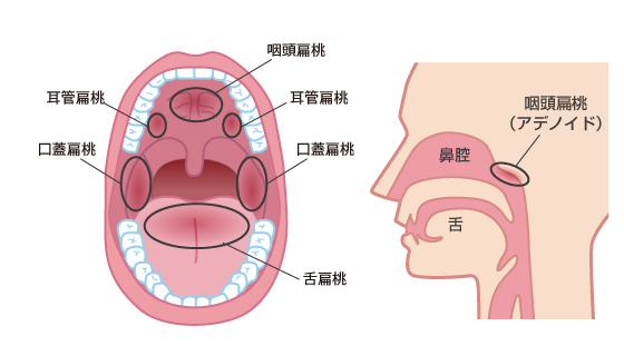 こどものいびき杉並区荻窪の耳鼻科・耳鼻咽喉科荻窪中尾耳鼻咽喉科睡眠時無呼吸症候群の専門治療