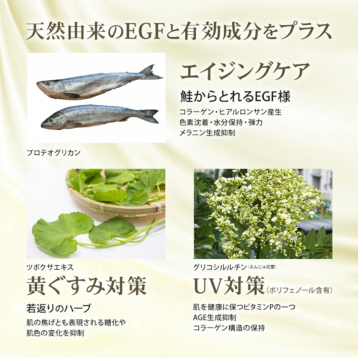 一般皮膚科：白斑 はくはん 平岡皮膚科スキンケアクリニック札幌市清田区