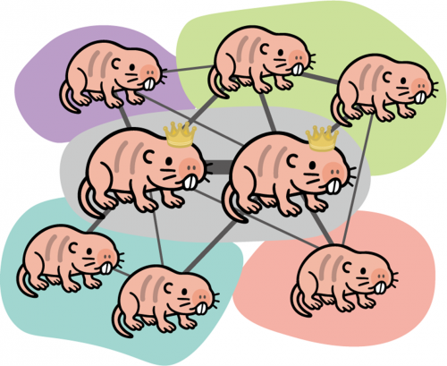 受動性無気肺のCT画像所見と診断のポイント