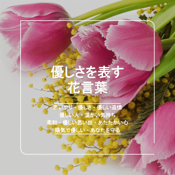 意中の相手に贈りたい「片思い」にまつわる花言葉を持つ花胡蝶蘭・スタンド花のプレミアガーデン