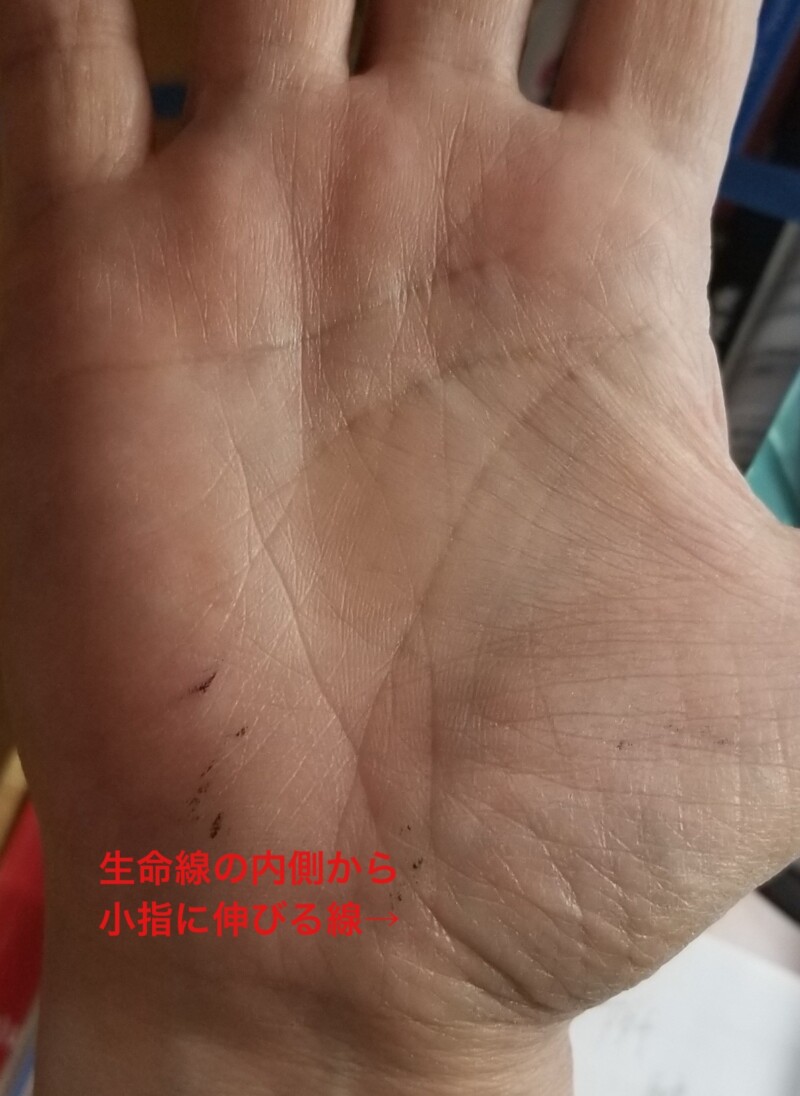 第5回 発見！琉球手相術の祖ぷらっと沖縄沖縄の「見たい」「楽しみたい」に応える地域密着型情報サイトです