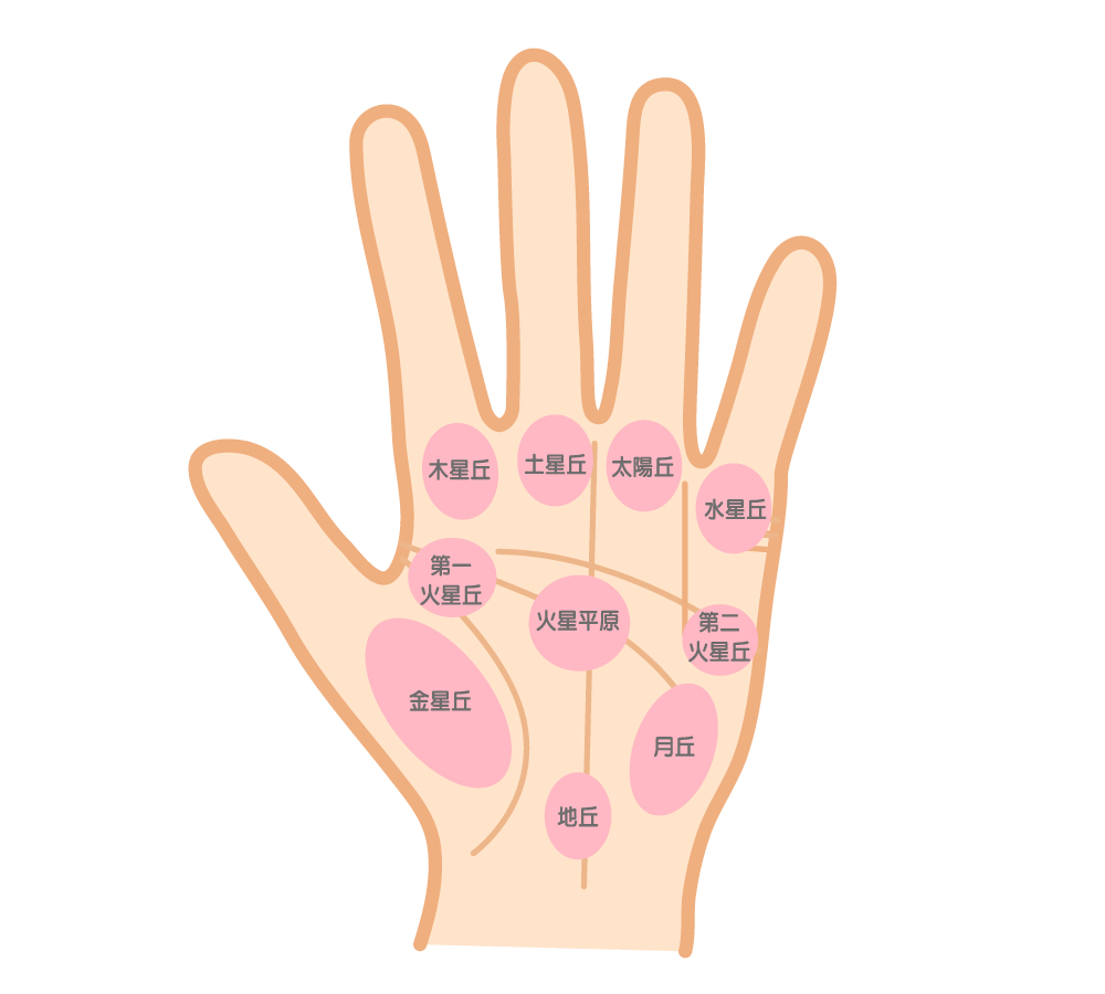 手相のスター線 星型 は良い相と悪い相がある！ランキング形式で紹介！ - 手相LABO 星健太郎 Hoshi