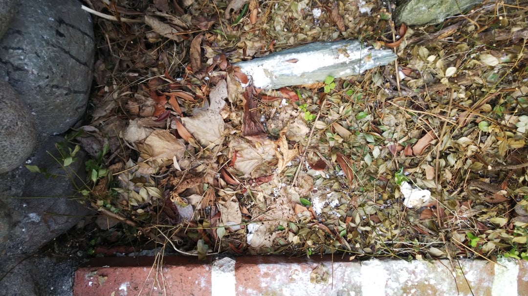 手作りの除草剤に効果はある？ お酢を使う方法や手作りのデメリットも紹介となりのカインズさん